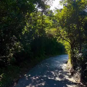 Reel: estrada na mata da Praia Brava, Itajaí